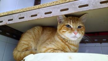 Kin Bild von Kin