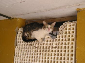 Ohne Bild von Hope