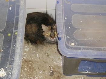 Ohne Bild von Cloe