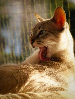 Bild von Juanito