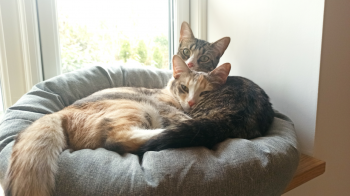 Yvette Bild von Yvette
