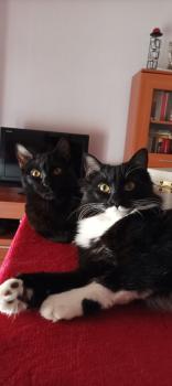 Livia Bild von Livia