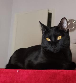 Livia Bild von Livia