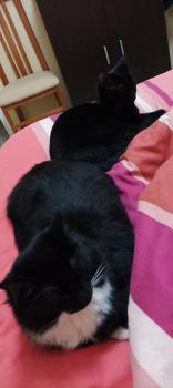 Livia Bild von Livia