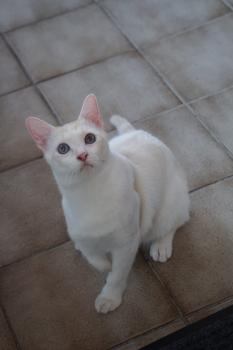 SR White Bild von SR White