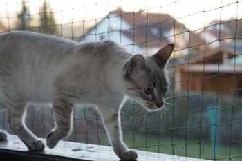 Bild von Juanito