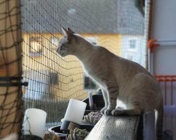 Bild von Juanito
