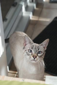 Bild von Juanito