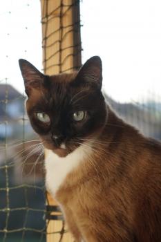 Coco Bild von Coco