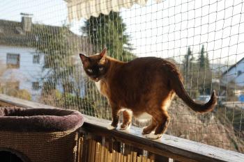 Coco Bild von Coco