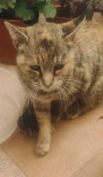 Emily Bild von Emily