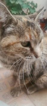 Emily Bild von Emily