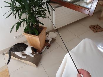 Casper Bild von Casper