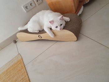 Casper Bild von Casper