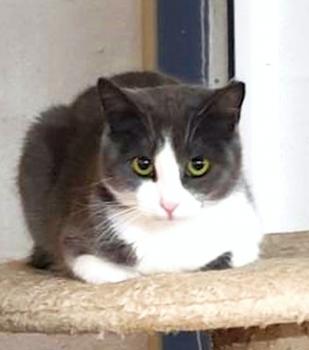 Mascha Bild von Mascha