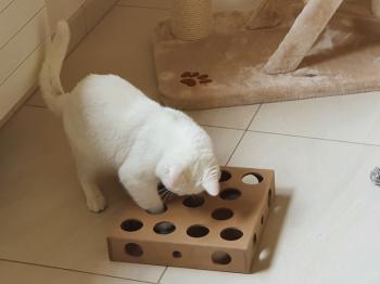 Casper Bild von Casper