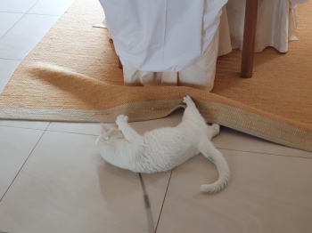 Casper Bild von Casper