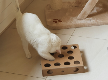 Casper Bild von Casper