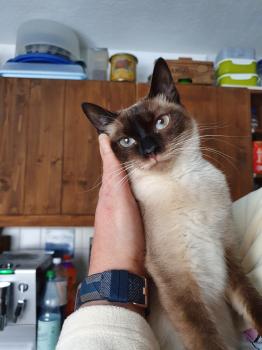 Muneca Bild von Muneca