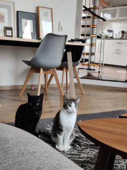 Lizor Bild von Lizor