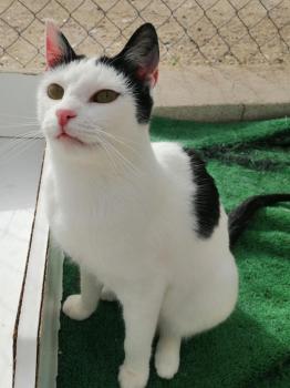 Xena Bild von Xenia