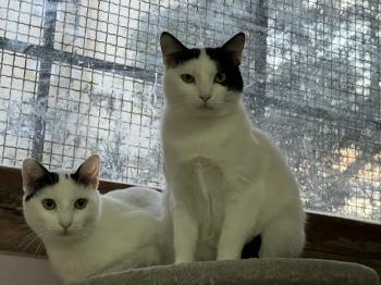 Wilma Bild von Wilma