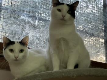 Wilma Bild von Wilma