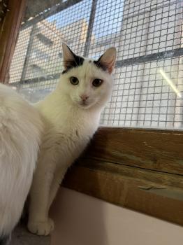 Wilma Bild von Wilma