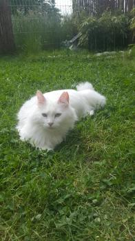 Paty Bild von Paty