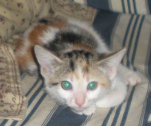 Mary Bild von Mary