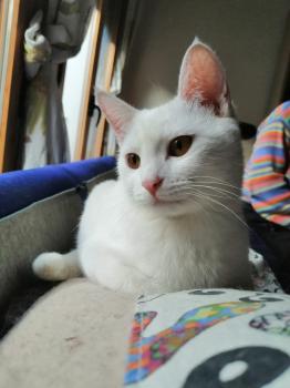 Blanqui Bild von Blanqui