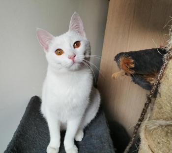 Blanqui Bild von Blanqui