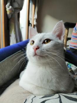 Blanqui Bild von Blanqui