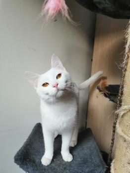 Blanqui Bild von Blanqui