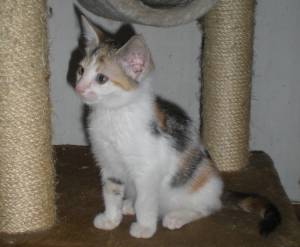 Mary Bild von Mary