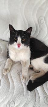 Felix Bild von Felix