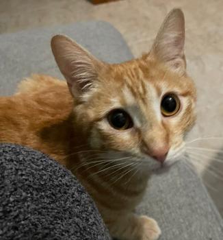 Nala Bild von Nala