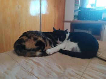 Brigitte Bild von Brigitte