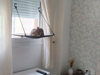 Frito Bild von Frito