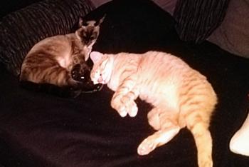 Mari Loli Bild von Mari Loli