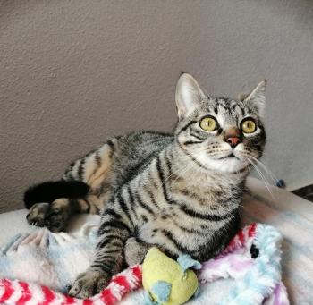 Ray Bild von Ray