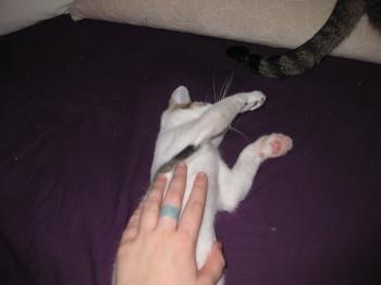 Magoo Bild von Magoo