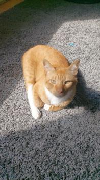 Fritz Bild von Fritz