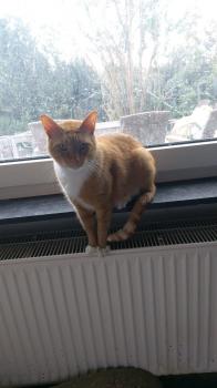 Fritz Bild von Fritz