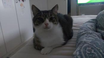 Trumi Bild von Trumi