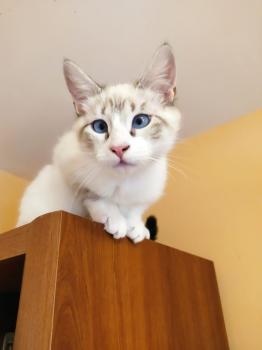 Coco Bild von Coco