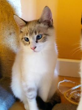Coco Bild von Coco