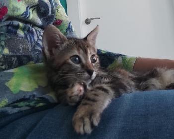 Elanor Bild von Elanor