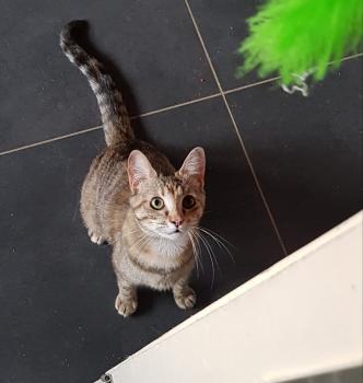 Mery Bild von Mery