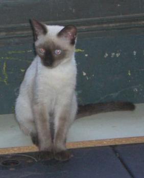 Bibi Bild von Bibi